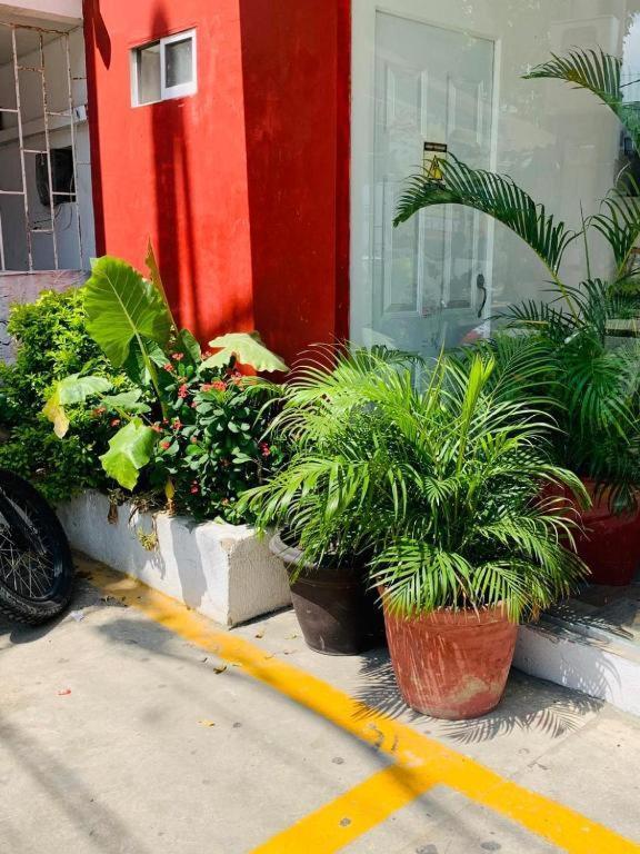Hotel Bellamar Cartagena エクステリア 写真